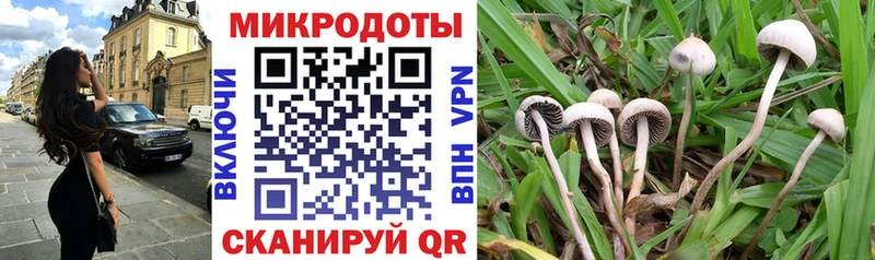 Галлюциногенные грибы MAGIC MUSHROOMS  kraken ссылки  Урень 