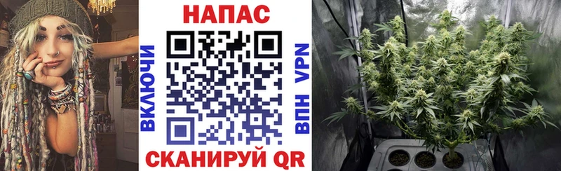 Бошки марихуана семена  Урень 
